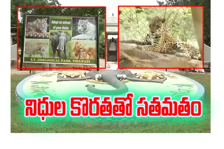 Tirupati Zoo is struggling due decrease funds after corona unlock