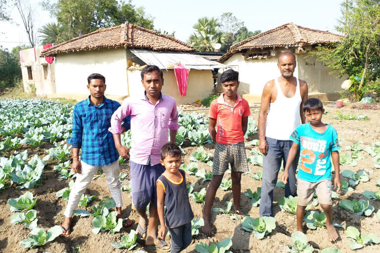 Farmers upset due to Neelgai in dumka