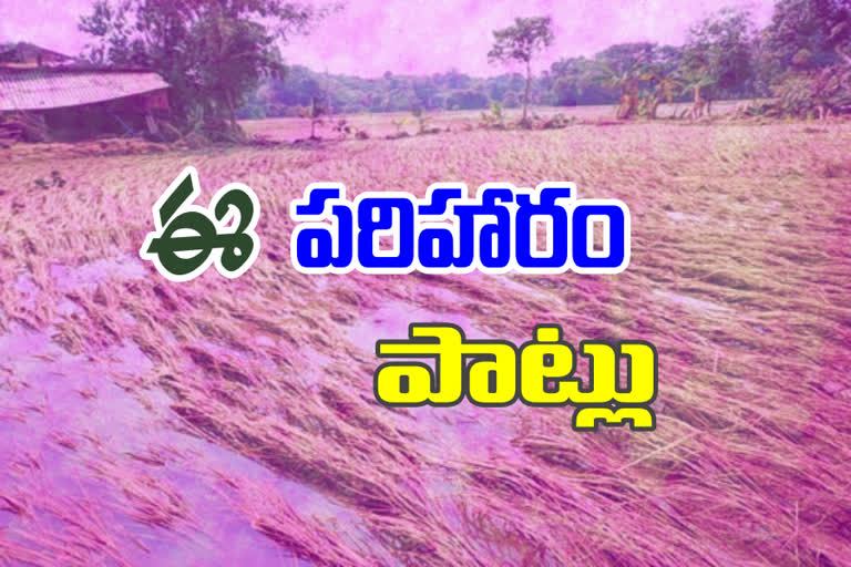 e crop   compensation problems in prakasham district