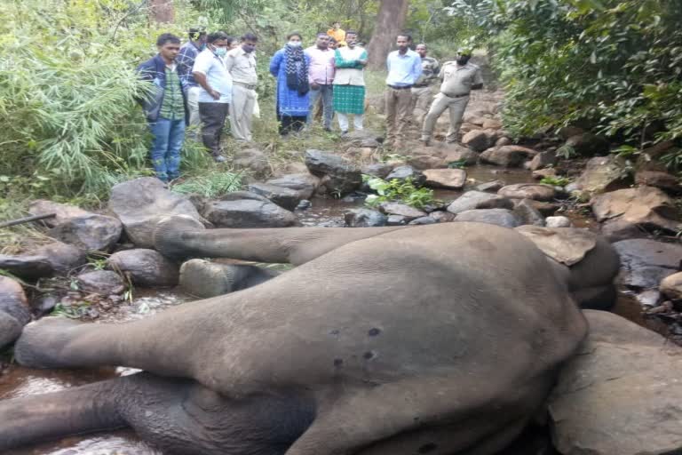 Sick elephant rescued from a canal in Deogarh range