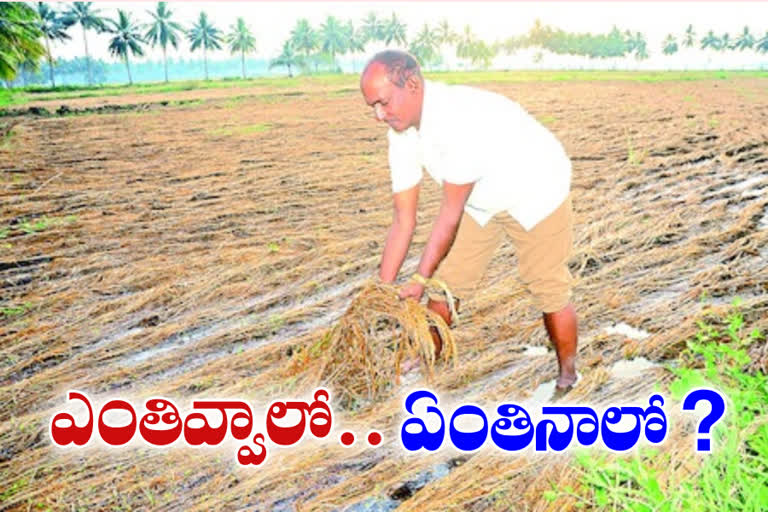 Lease farmers lossed crop