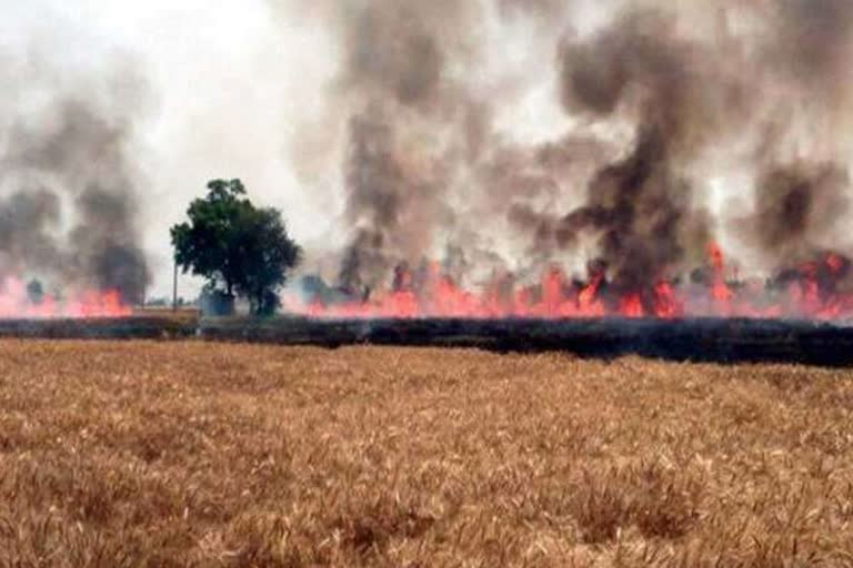 yamunanagar stubble burning farmers fine