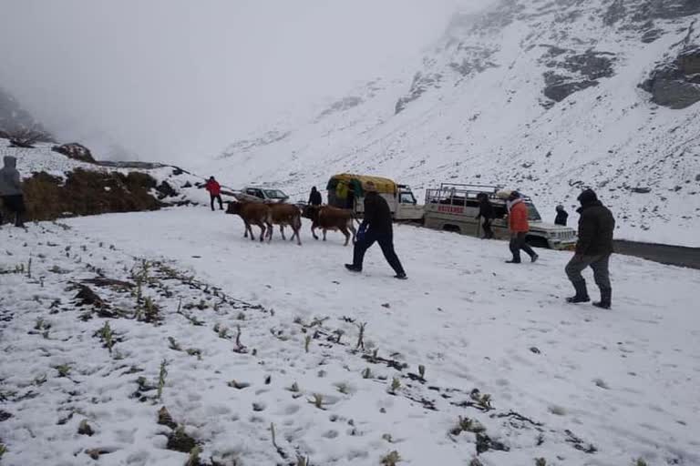 Himalayan glaciers got new strength from November snowfall