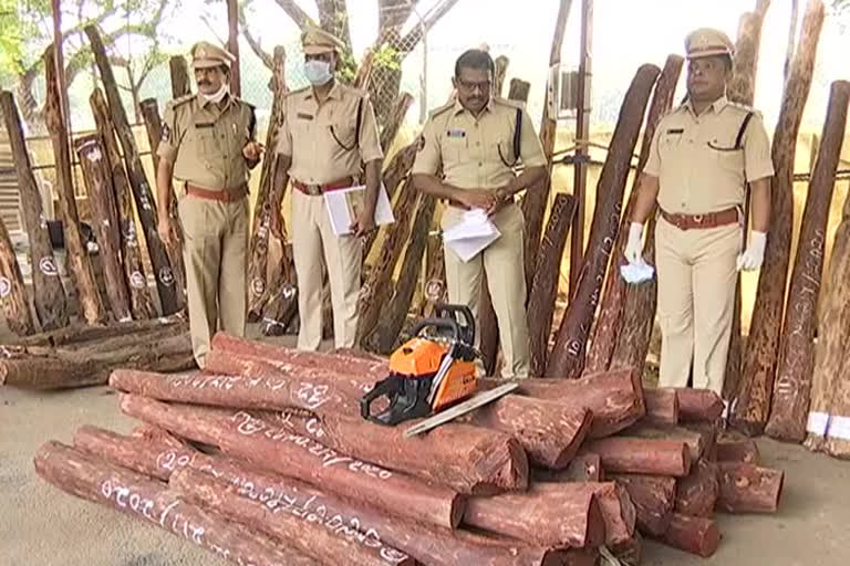 4 crore worth of red sandalwood seized