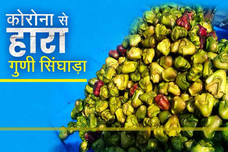 Benefits of water chestnut, Bhilwara news