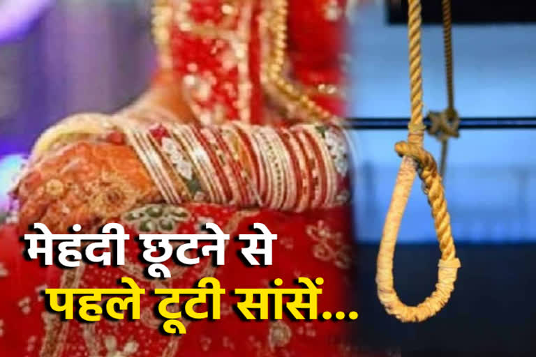 bride committed suicide after marriage, sikar crime news