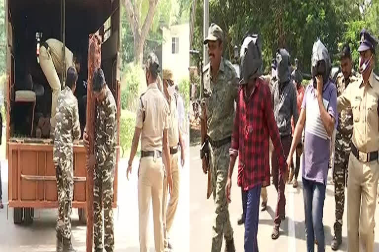 Heavy red sandalwood logs seized .. 31 arrested