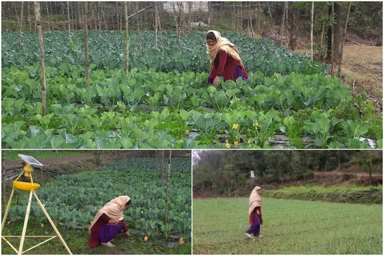 bilaspur farmer Babita Kumari