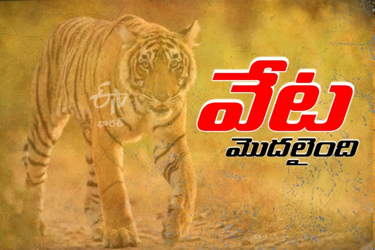 The search for the tiger In KumaramBhim district