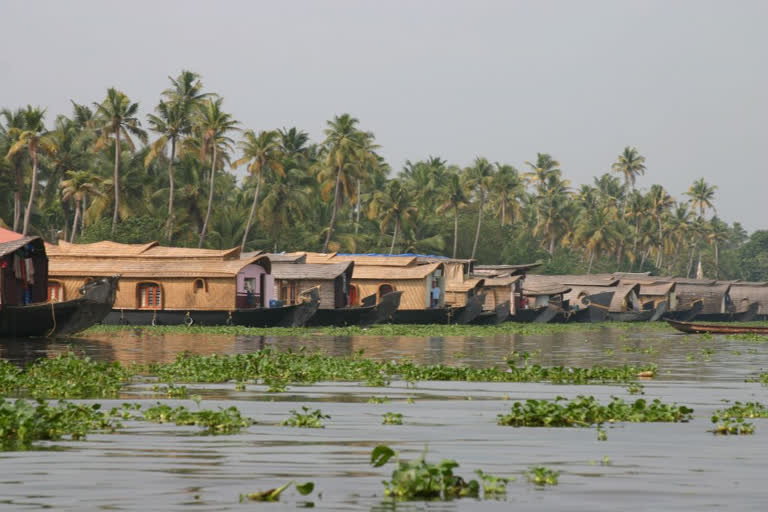 ആലപ്പുഴ  ബുറെവി ചുഴലിക്കാറ്റ്  ബുറേവി ചുഴലിക്കാറ്റ്  കുട്ടനാട്ടിൽ നിയന്ത്രണങ്ങൾ ഏർപ്പെടുത്തി  COLLECTOR IMPOSED MORE RESTRICTIONS IN KUTTANAD  KUTTANAD  CYCLONE  COLLECTOR_IMPOSED_MORE_RESTRICTIONS_IN_KUTTANAD_DUE_TO_CYCLONE