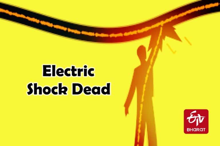 மின்சாரம் தாக்கி இளைஞர் உயிரிழப்பு  திருத்துறைப்பூண்டியில் மின்சாரம் தாக்கி இளைஞர் உயிரிழப்பு  Youth dead by electric shock in Thiruthuraipoondi  electric shock Deads  electric shock  Deaths