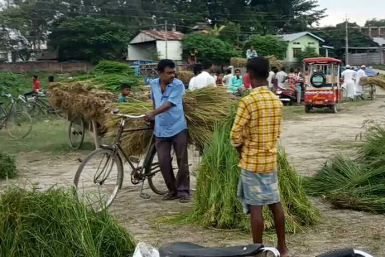 grass market