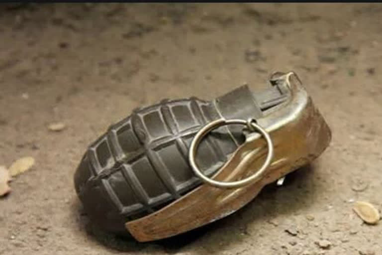 Hand grenade found in Jammu and Kashmir  ഗ്രനേഡ്‌  ജമ്മു