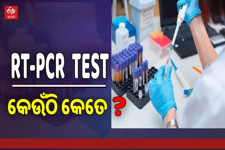 କମିଲା RT-PCR ଟେଷ୍ଟ ମୂଲ୍ୟ