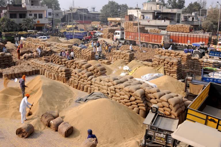 Paddy procurement started