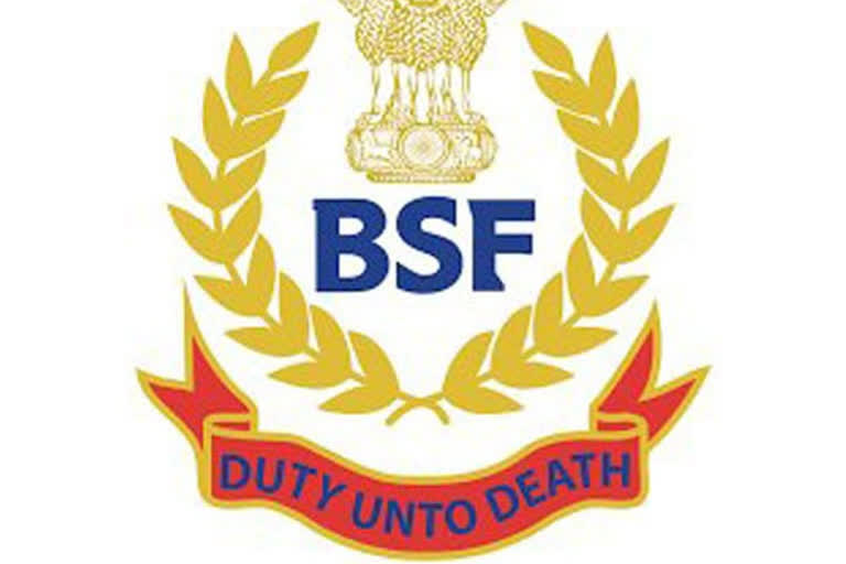 Cattle smuggler dies in BSF firing  ബിഎസ്‌എഫ്‌