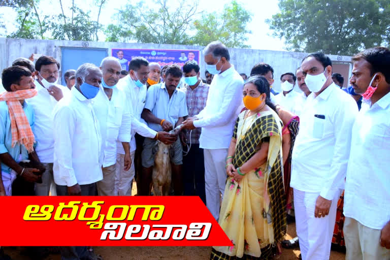 minister harish rao visited in gangapur