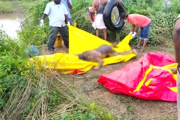 gundlakamma lake deaths