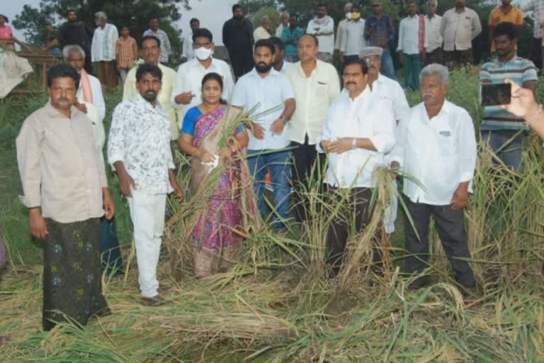 రైతు సంక్షేమం ఈ ప్రభుత్వానికి పట్టదు