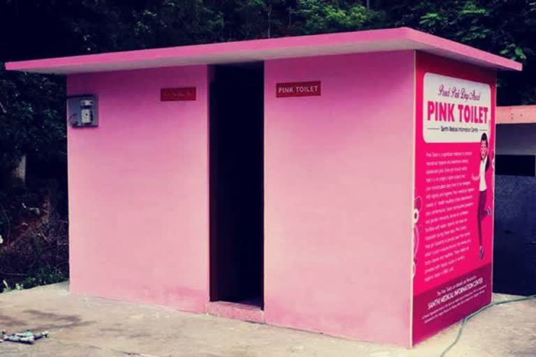 Pink toilets will be made for women in Raipur