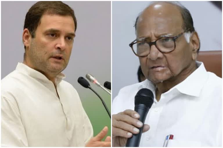 sharad pawar on Rahul gandhi