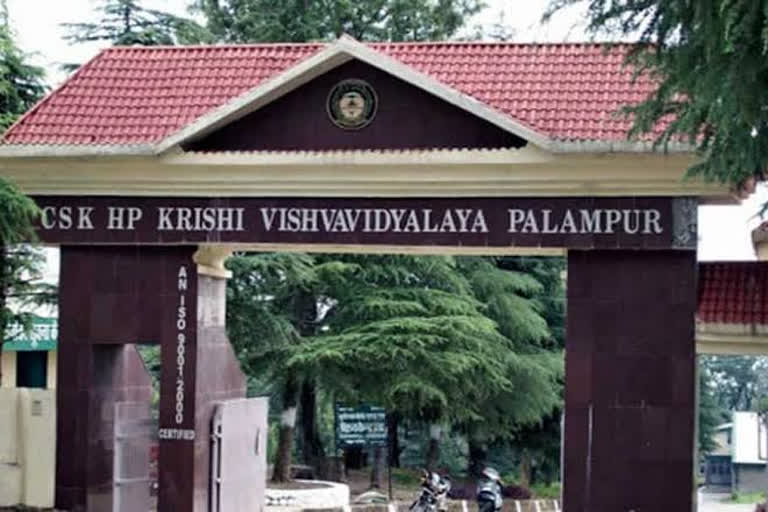 Agricultural University Palampur