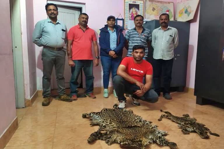 attempting to sale  leopard skin accused  arrested by Forest Traffic police