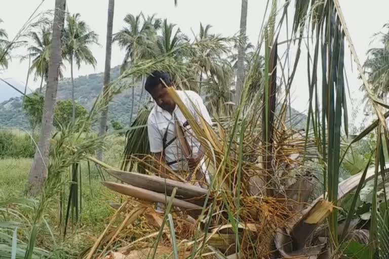 அட்டகாசம் செய்யும் ஒற்றை யானை: கண்டுக்கொள்ளாத வனத்துறையினர்!