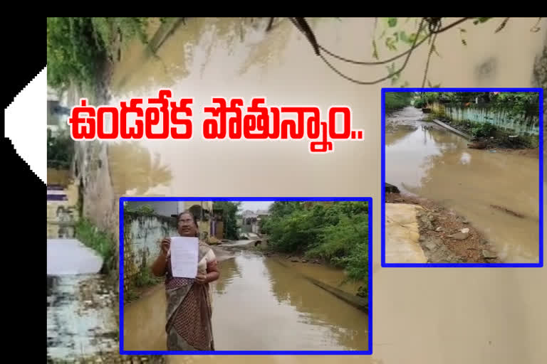 colony submerged with flood water