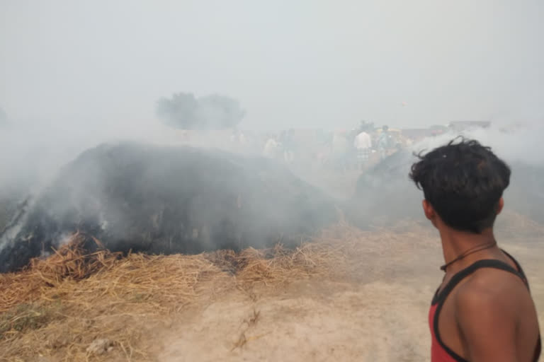 Fire in Paddy Field