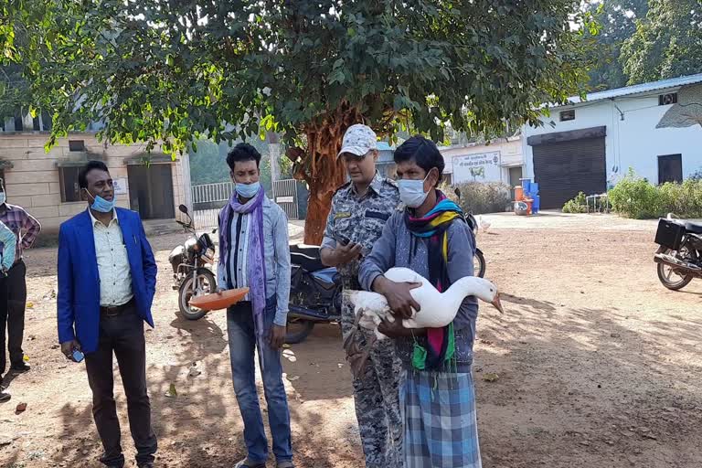 animal-husbandry-training-to-surrendered-naxalites