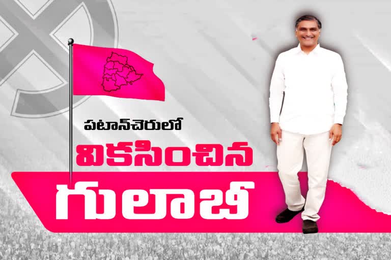 minister harish rao action plan to win patancheru