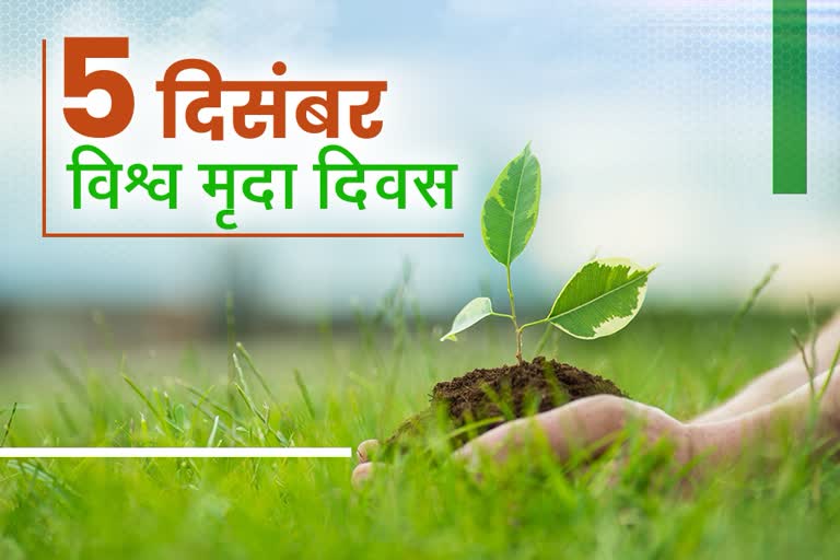 world soil day