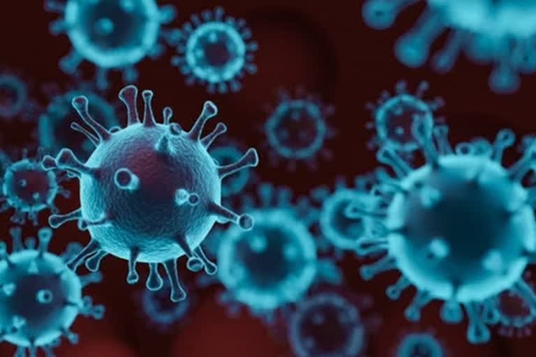 antiviral drug prevents corona virus transmission