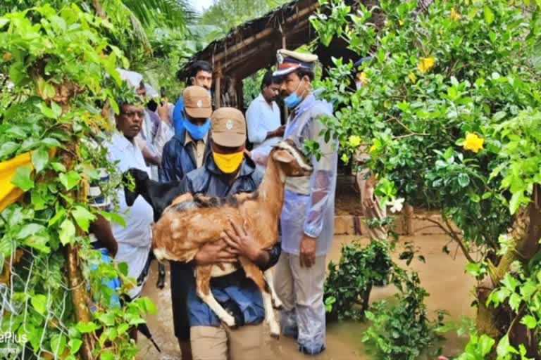 IG Jayaraman Inspection of cyclone damage