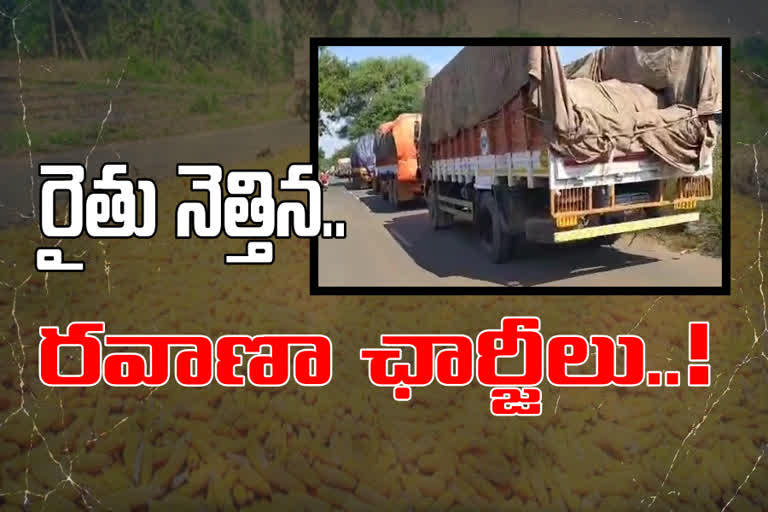 monopolies in corn purchase in Kurnool District