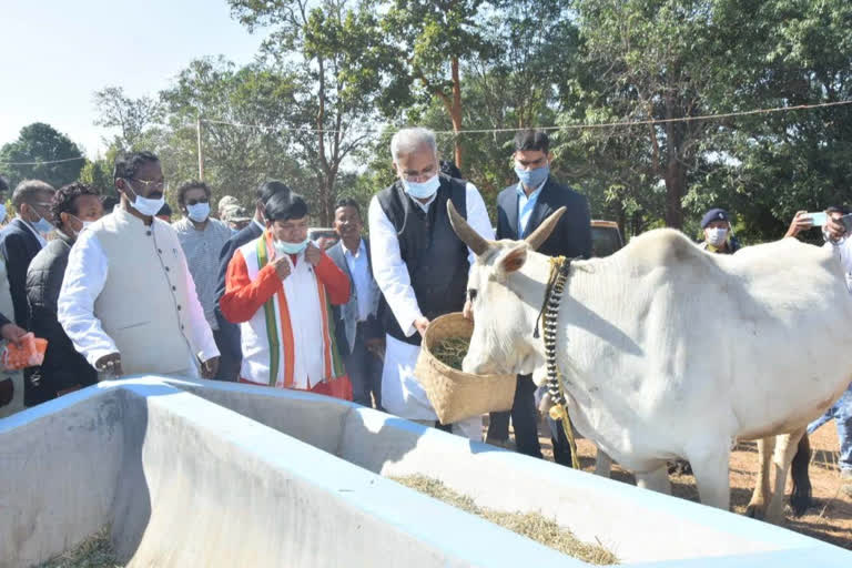 cm bhupesh baghel inaugrate gamharia gauthan in jashpur