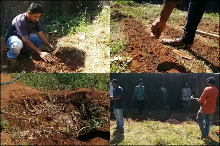 കാസര്‍കോട്‌ സർക്കാർ ശിശു മന്ദിരം  ജൈവ പച്ചക്കറി തോട്ടം  സന്നദ്ധ സേവന ദിനം  vegetable garden at government children home  government children home kasargod