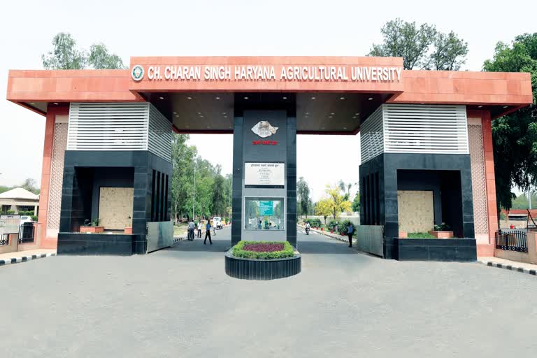 ccs haryana agricultural university top ranking