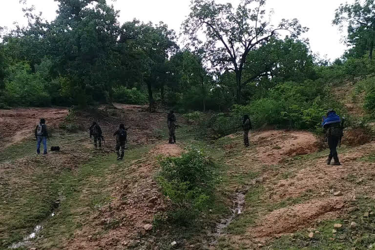 encounter between police and naxalites in latehar