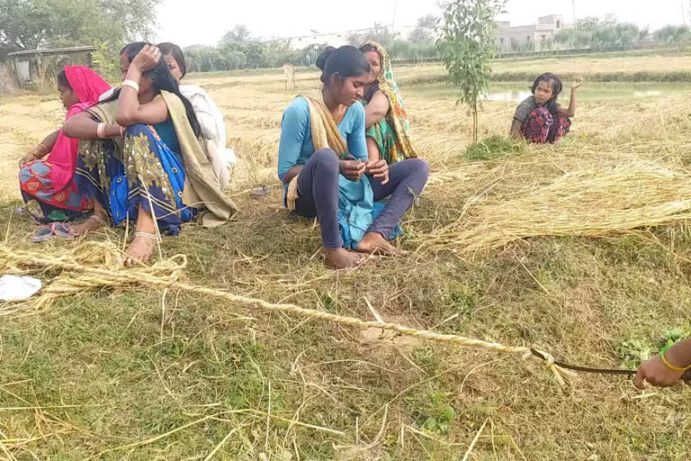 paddy purchase in buxar