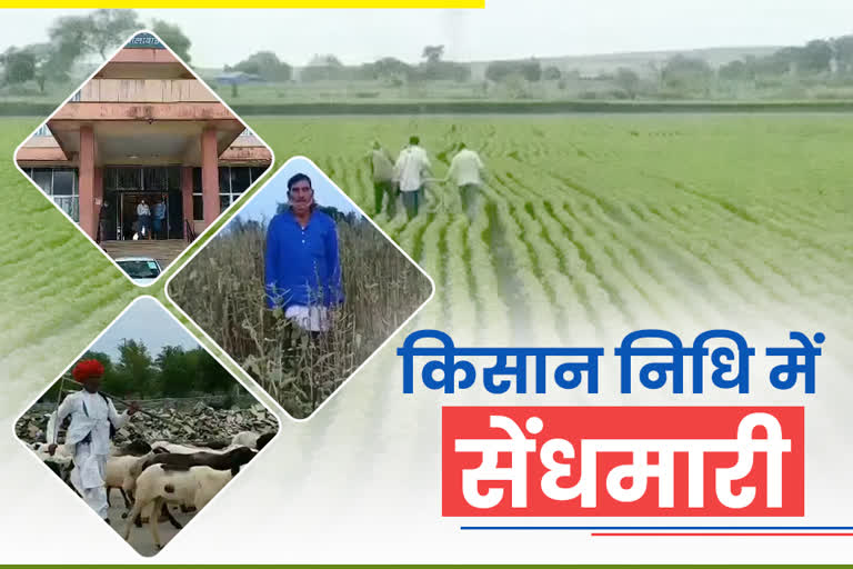 Prime Minister Kisan Samman Nidhi Scheme in Jhalawar, Prime Minister Kisan Samman Nidhi Scheme Jhalawar, PM Kisan Samman Nidhi Scheme Jhalawar, Scam in PM Kisan Samman Nidhi Scheme, Jhalawar farmer news, Jhalawar Farmer Government Scheme, rajasthan farmer news