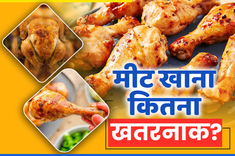 health tips for people who eating meat chicken, ajmer latest hindi news