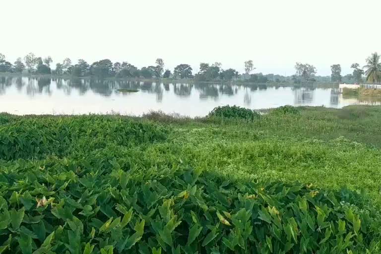 90-lakh-rupees-aquatic-weed-harvester-machine-damaged-in-dalpat-sagar-in-jagdalpur