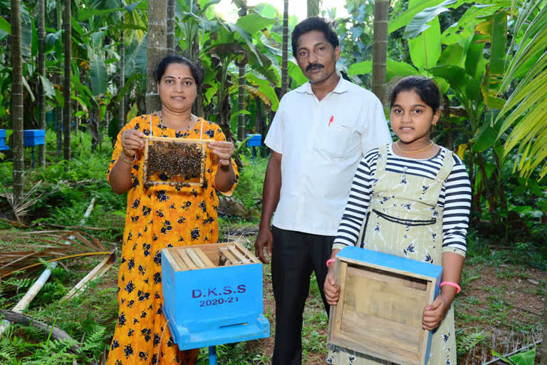 Karnataka Farmers venture into Beekeeping