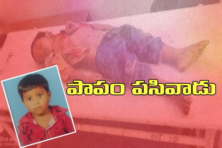 Four year old boy dies after falling from bull cart in adilabad