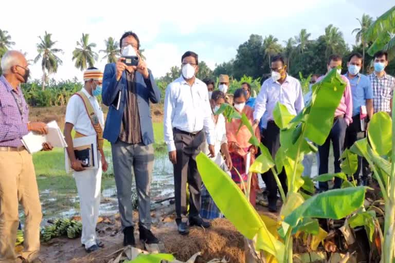 central team visits rain affected areas