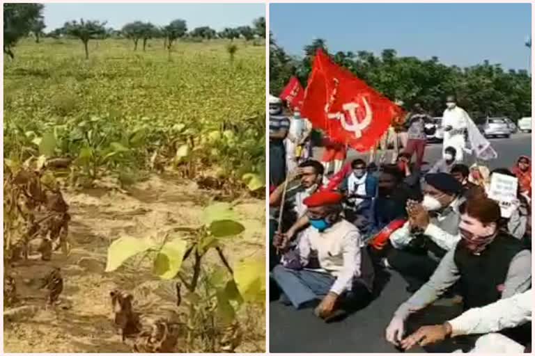 rajasthan farmer protest, राजस्थान किसान आंदोलन