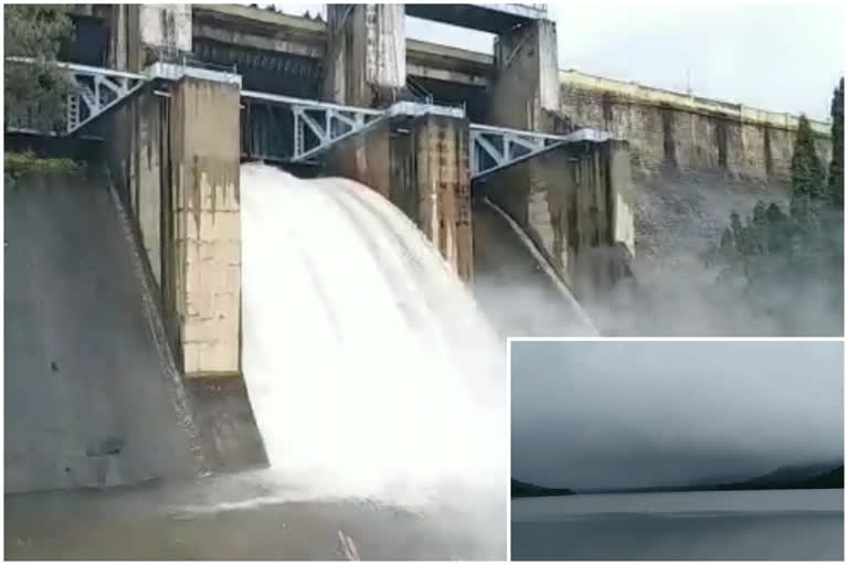 Kalyani Dam gate Opened and release water to down