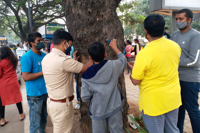 Massive support for nail-free tree campaign: ETV bharat impact